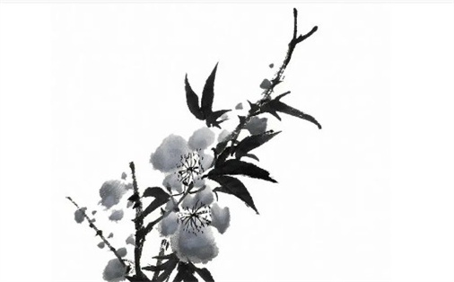 2046年4月16日出行指南：不宜出行的原因与替代选择解析