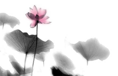 农历二〇二九年七月初十黄历不适宜旅行吗,出行好日子查询