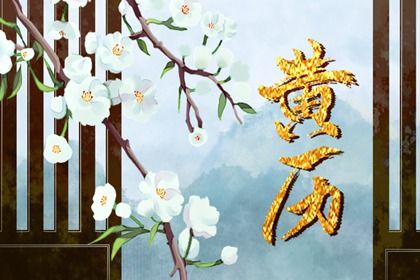 2018年出生是什么命(2018年出生是什么命五行属什么)