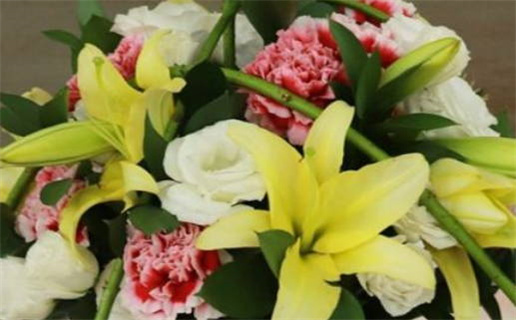 2017年属鸡什么命(2017年属鸡什么命金木水火)