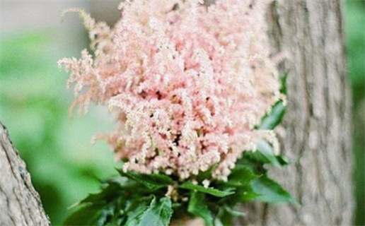 2006年出生是什么命_2006年出生是什么命五行属什么