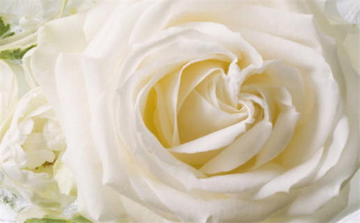 96年本命年时间解析与详细介绍