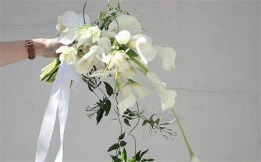 文化大格命讲些什么_文化大各命的定性是什么?