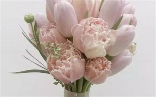 1991属羊命运解析与人生运势详解