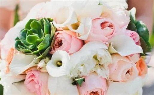 七一年的猪是什么命_七一年的猪是什么命五行是什么