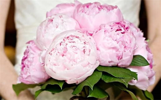 90年出生的马是什么命(90年出生的马是什么命,婚姻怎样)