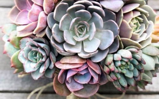 水命的人适合做什么生意(水命的人适合做什么生意呢)