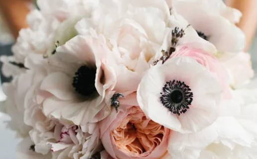 2个耳朵不一样什么命_两个耳朵不一样什么命