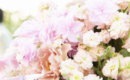 属狗2月出生是什么命