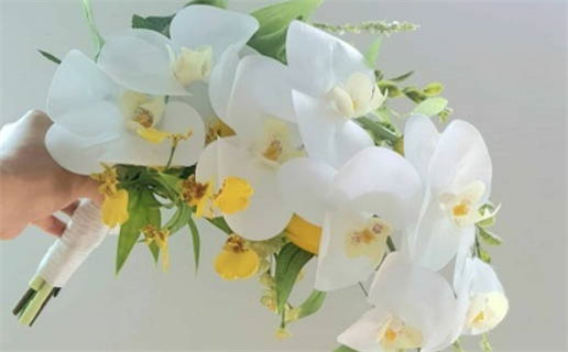 如何判断自己是什么命_如何判断自己是什么命金木水火土