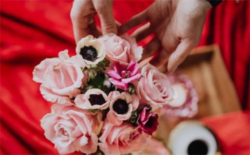 2019年属什么命揭示你的命运与性格特色