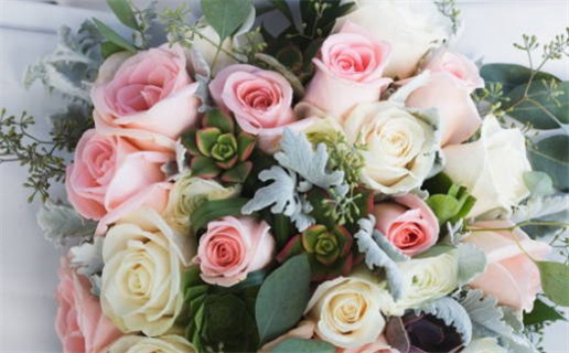 85属牛的是什么命(1985属牛的是什么命)