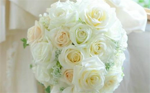 养命之源是什么生肖揭秘生肖与健康的关系