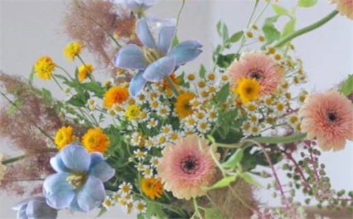 2021年属什么命(2021年属什么命 五行)