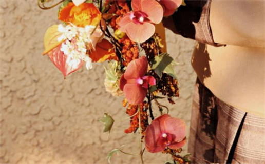 2018年狗的命运解析与运势指南