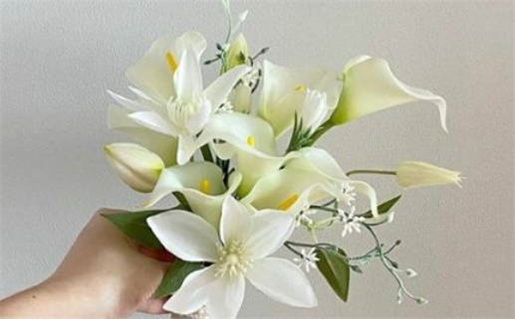 离命西四命是什么意思_离命西四命好不好