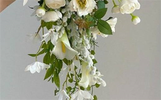 命硬的人特征揭示你的运势与性格关联