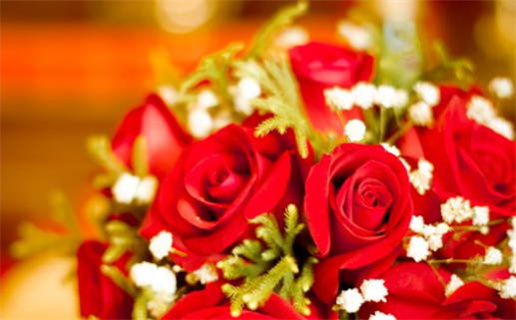 如何查询自己的命格轻松掌握命运奥秘