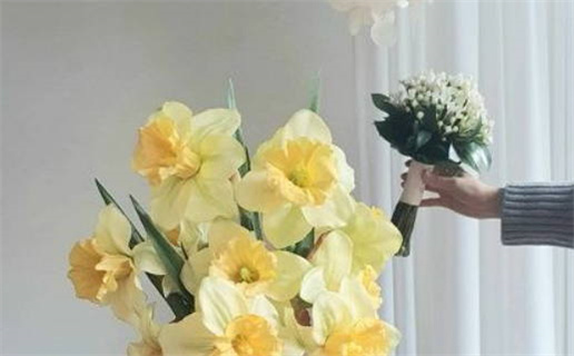 女命犯阴差阳错为什么(女命犯阴差阳错为什么不能结婚)