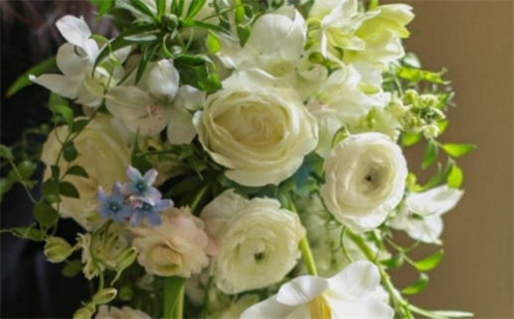 1992年属什么命解读年份特点与性格分析