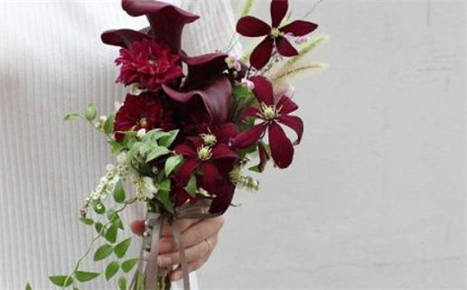 96年老鼠是什么命