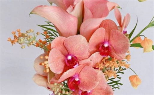 森林木命是什么意思(森林木命是什么意思 答案)