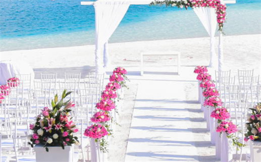 05年属鸡的是什么命(2005年属鸡的是什么命)