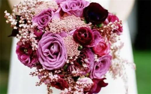 什么动物曾经用蛇续命_什么动物曾经用蛇续命的