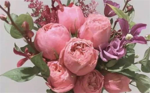 1983年出生的人命运解析与性格特点分析