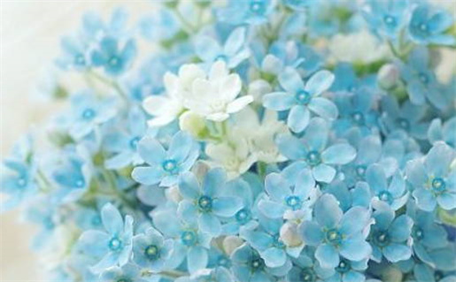 93年出生五行命理分析与运势解读