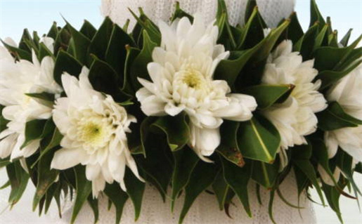 92年3月属猴的是什么命_92年3月属猴的是什么命运