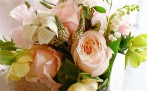 2015年的猴是什么命(2015年猴是什么命 五行属什么)