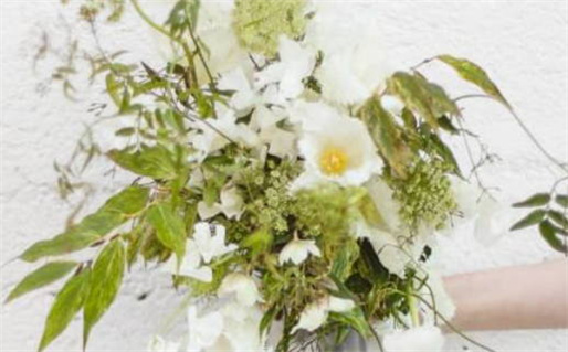 2012年属兔是什么命_2012年属兔是什么命五行属什么