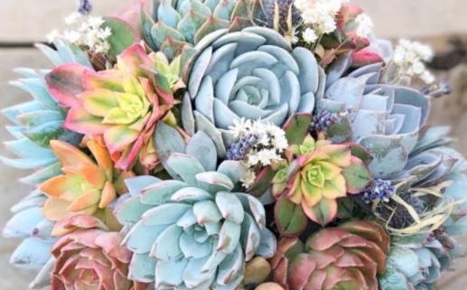 城头土命和什么命配(城头土命和什么命最配)