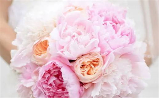 八字命弱解析及调理方法详解