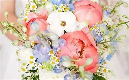 命系悬壶的含义是什么(命系悬壶的含义是什么呢)