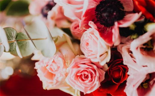 2019年属于什么命(2019年属于什么命五行属什么)