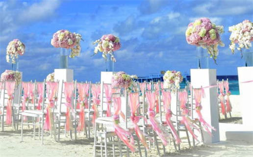 1985年属牛的命运解析与个性特点分析