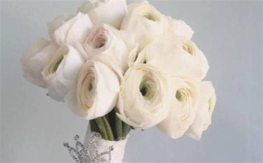 2017年火命详解与运势分析提升生活质量的方法