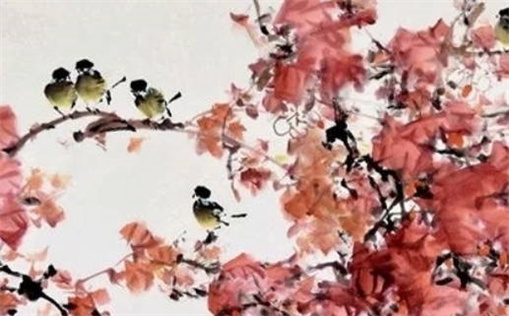 1983年10月出生的人命运解析与性格特点