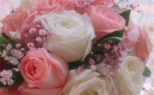 命坐桃花是什么意思(命坐桃花什么意思是什么)