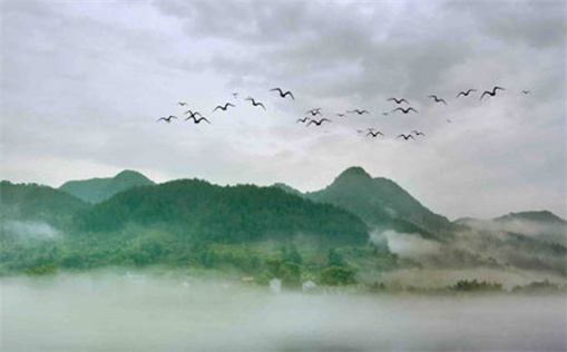 1998年属虎的女人是什么命(1998年属虎的女人是什么命运)