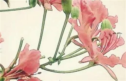 2027年5月24日动土宜忌：适合的祭祀与开工仪式指南