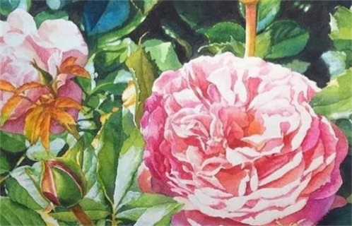 2031年04月07日动土黄历查询