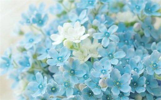 2031年05月11日老黄历适合迎亲吗