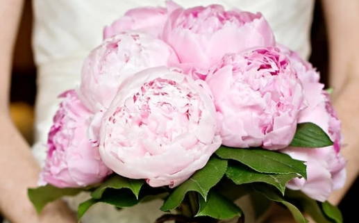 2029年10月03日不适宜婚姻登记吗,这天领证合适吗