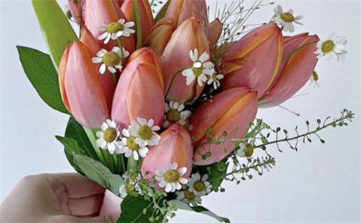 2029年03月25日领证黄历查询 2029年03月25日领证黄历查询