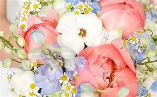 2026年12月03日领证黄历查询