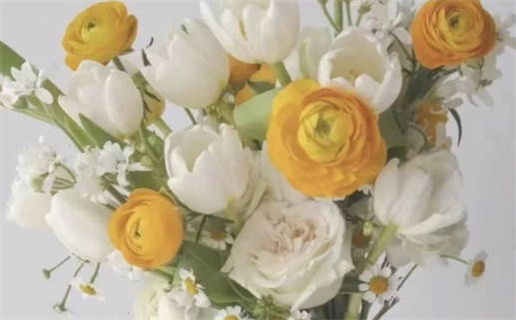 2029年01月30日不适宜领结婚证吗,领证吉日查询