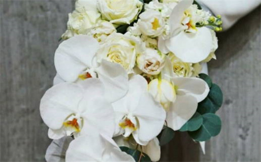 2027年11月16日领证黄历查询